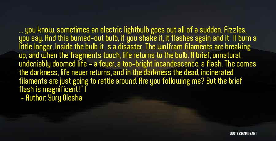 Yury Olesha Quotes: ... You Know, Sometimes An Electric Lightbulb Goes Out All Of A Sudden. Fizzles, You Say. And This Burned-out Bulb,