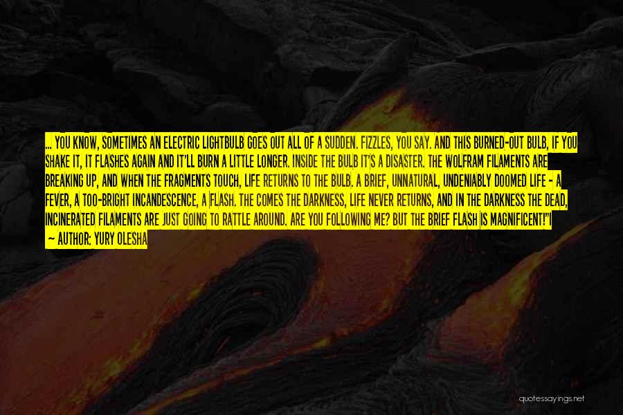 Yury Olesha Quotes: ... You Know, Sometimes An Electric Lightbulb Goes Out All Of A Sudden. Fizzles, You Say. And This Burned-out Bulb,