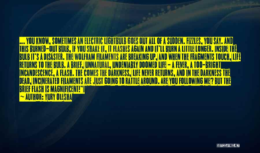 Yury Olesha Quotes: ... You Know, Sometimes An Electric Lightbulb Goes Out All Of A Sudden. Fizzles, You Say. And This Burned-out Bulb,