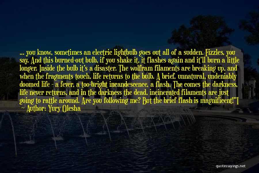 Yury Olesha Quotes: ... You Know, Sometimes An Electric Lightbulb Goes Out All Of A Sudden. Fizzles, You Say. And This Burned-out Bulb,