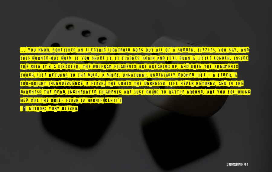 Yury Olesha Quotes: ... You Know, Sometimes An Electric Lightbulb Goes Out All Of A Sudden. Fizzles, You Say. And This Burned-out Bulb,