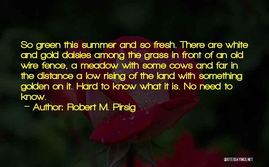 Robert M. Pirsig Quotes: So Green This Summer And So Fresh. There Are White And Gold Daisies Among The Grass In Front Of An