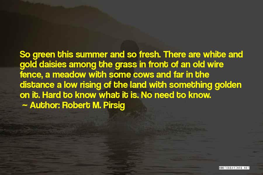 Robert M. Pirsig Quotes: So Green This Summer And So Fresh. There Are White And Gold Daisies Among The Grass In Front Of An