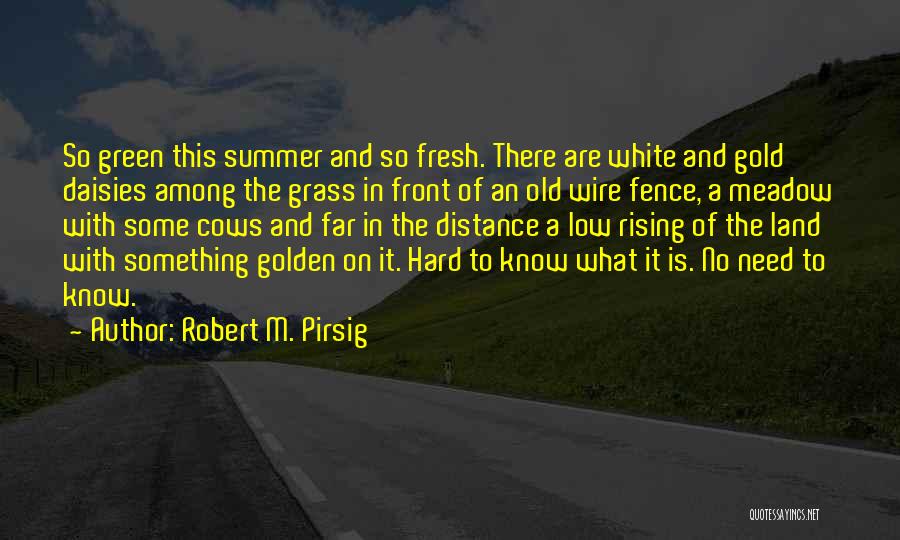 Robert M. Pirsig Quotes: So Green This Summer And So Fresh. There Are White And Gold Daisies Among The Grass In Front Of An