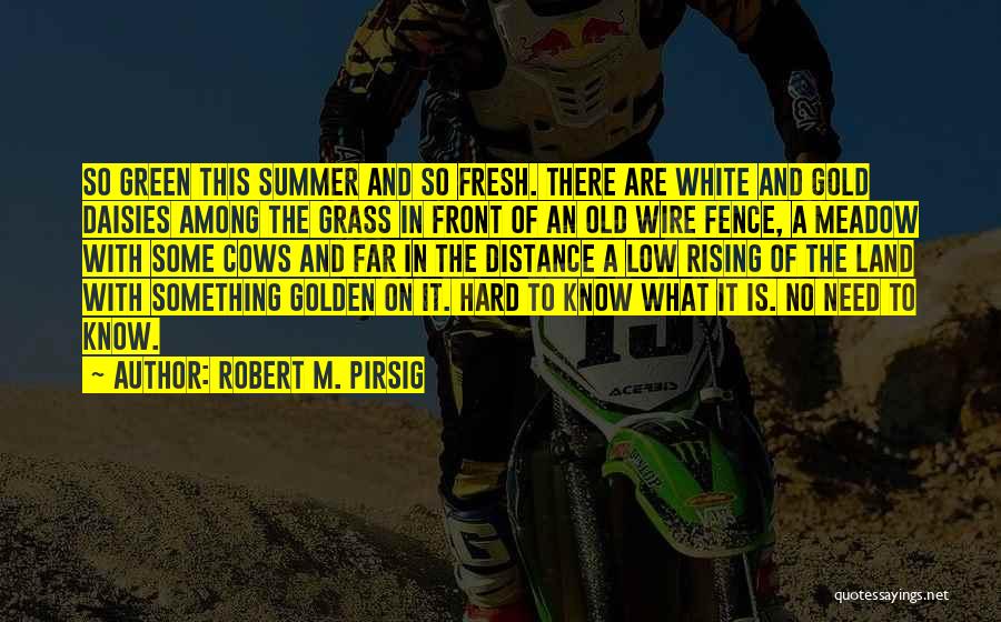 Robert M. Pirsig Quotes: So Green This Summer And So Fresh. There Are White And Gold Daisies Among The Grass In Front Of An