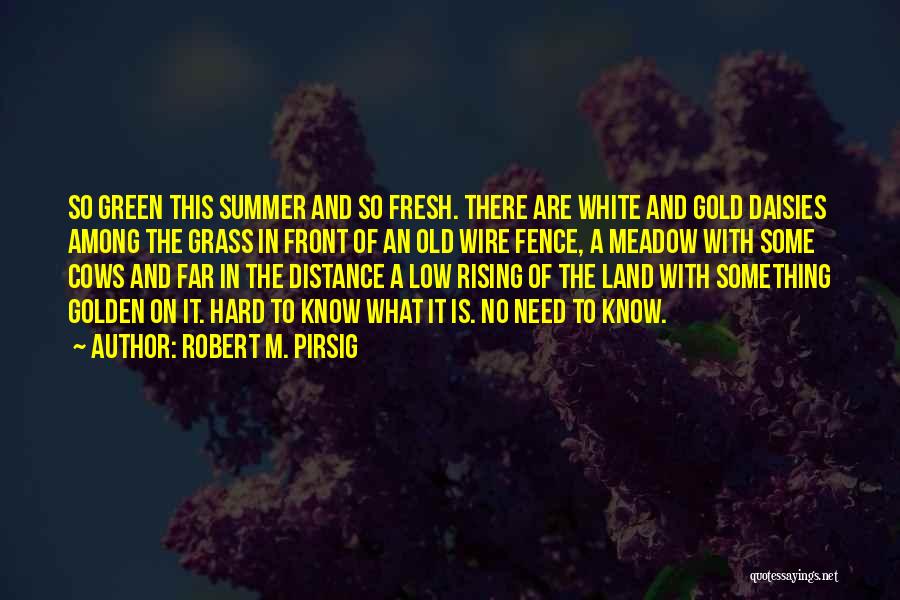 Robert M. Pirsig Quotes: So Green This Summer And So Fresh. There Are White And Gold Daisies Among The Grass In Front Of An