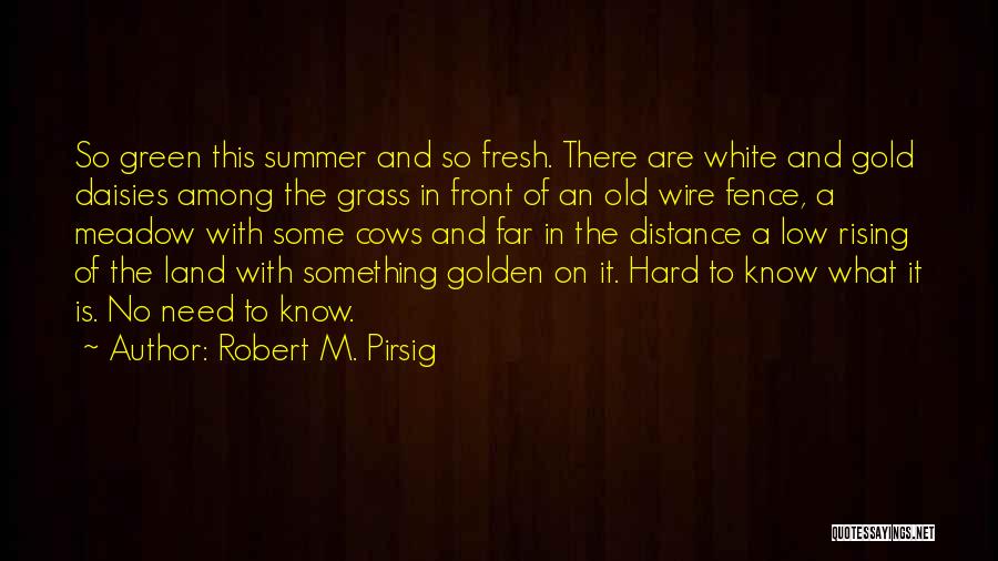 Robert M. Pirsig Quotes: So Green This Summer And So Fresh. There Are White And Gold Daisies Among The Grass In Front Of An