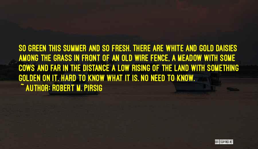 Robert M. Pirsig Quotes: So Green This Summer And So Fresh. There Are White And Gold Daisies Among The Grass In Front Of An