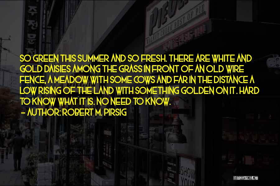 Robert M. Pirsig Quotes: So Green This Summer And So Fresh. There Are White And Gold Daisies Among The Grass In Front Of An