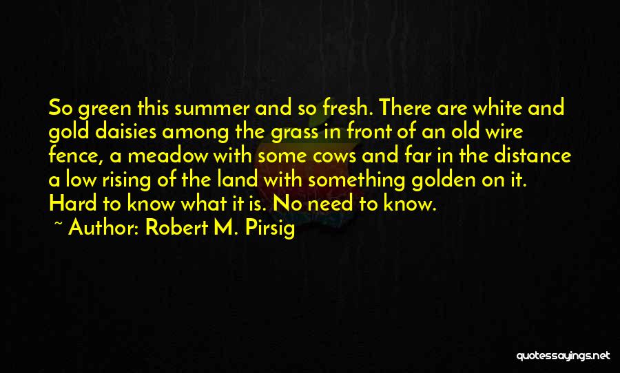 Robert M. Pirsig Quotes: So Green This Summer And So Fresh. There Are White And Gold Daisies Among The Grass In Front Of An