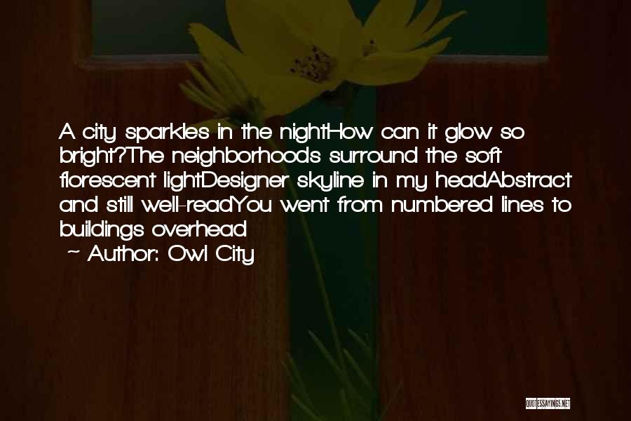 Owl City Quotes: A City Sparkles In The Nighthow Can It Glow So Bright?the Neighborhoods Surround The Soft Florescent Lightdesigner Skyline In My