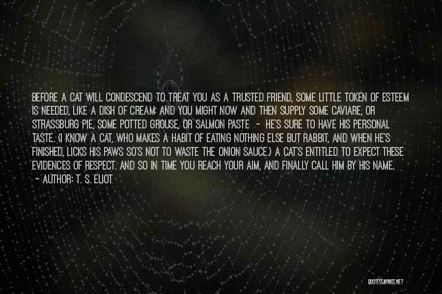 T. S. Eliot Quotes: Before A Cat Will Condescend To Treat You As A Trusted Friend, Some Little Token Of Esteem Is Needed, Like