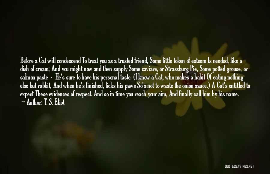 T. S. Eliot Quotes: Before A Cat Will Condescend To Treat You As A Trusted Friend, Some Little Token Of Esteem Is Needed, Like