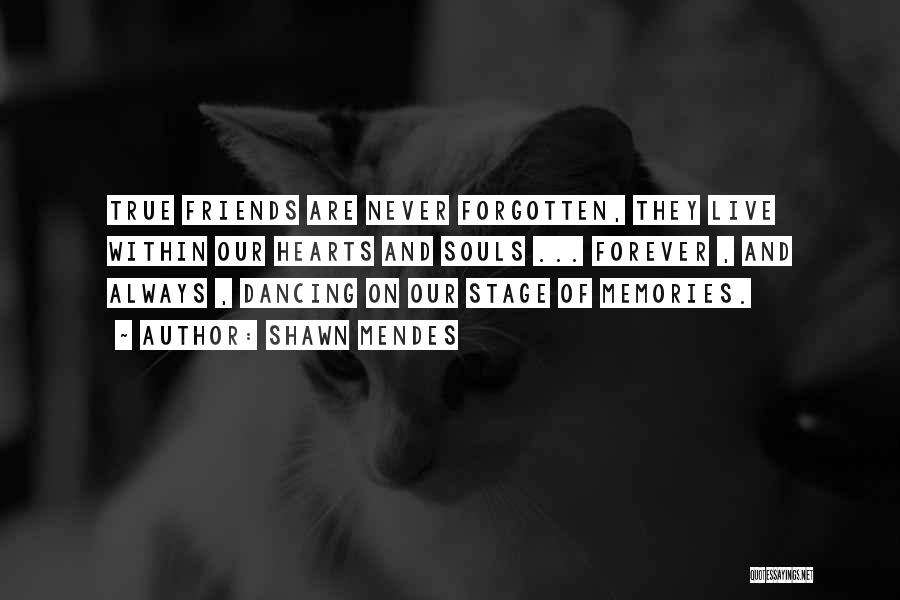 Shawn Mendes Quotes: True Friends Are Never Forgotten, They Live Within Our Hearts And Souls ... Forever , And Always , Dancing On