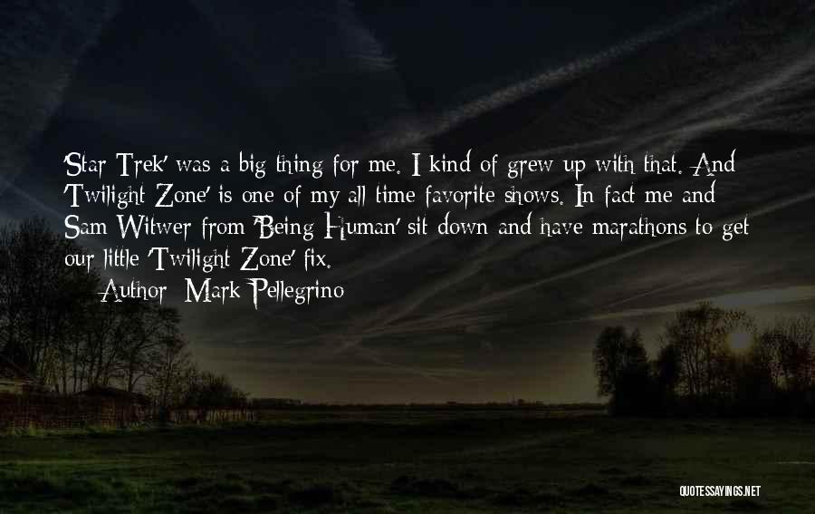 Mark Pellegrino Quotes: 'star Trek' Was A Big Thing For Me. I Kind Of Grew Up With That. And 'twilight Zone' Is One