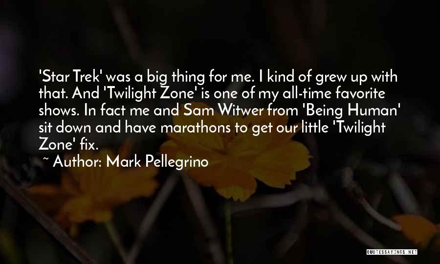 Mark Pellegrino Quotes: 'star Trek' Was A Big Thing For Me. I Kind Of Grew Up With That. And 'twilight Zone' Is One