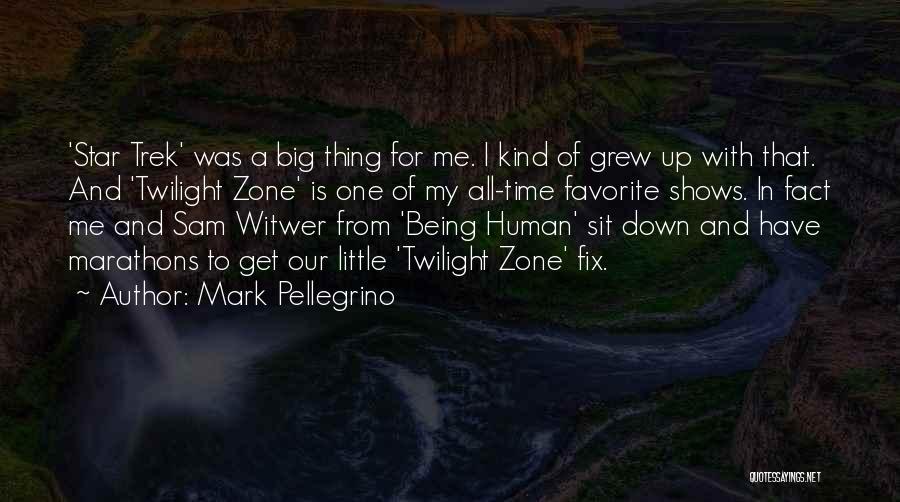 Mark Pellegrino Quotes: 'star Trek' Was A Big Thing For Me. I Kind Of Grew Up With That. And 'twilight Zone' Is One