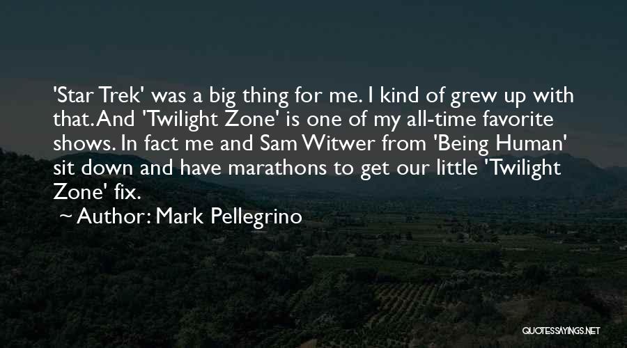 Mark Pellegrino Quotes: 'star Trek' Was A Big Thing For Me. I Kind Of Grew Up With That. And 'twilight Zone' Is One