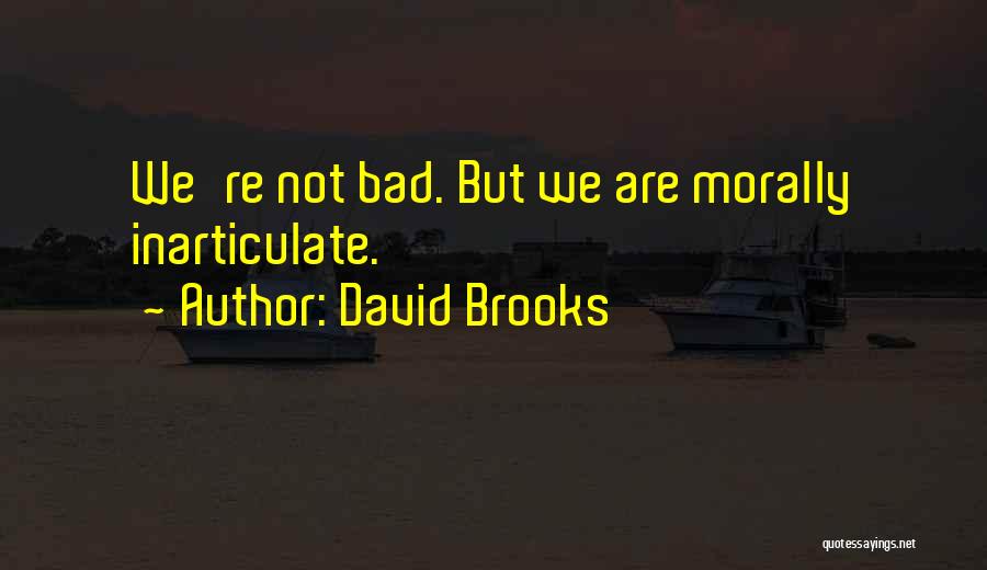 David Brooks Quotes: We're Not Bad. But We Are Morally Inarticulate.