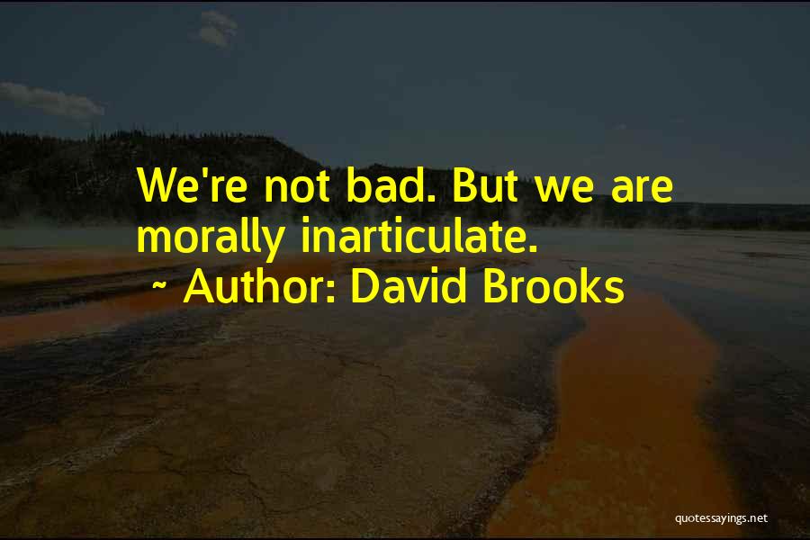 David Brooks Quotes: We're Not Bad. But We Are Morally Inarticulate.