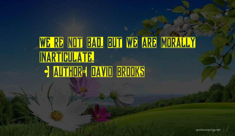 David Brooks Quotes: We're Not Bad. But We Are Morally Inarticulate.