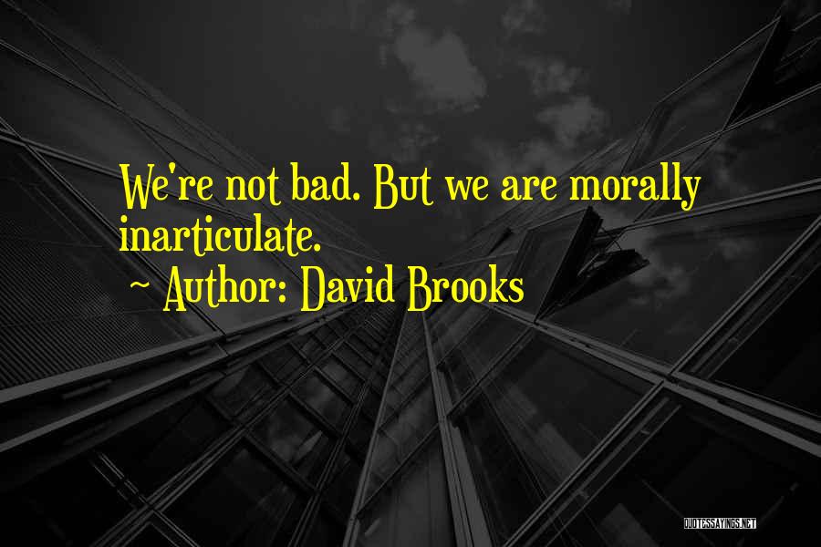 David Brooks Quotes: We're Not Bad. But We Are Morally Inarticulate.