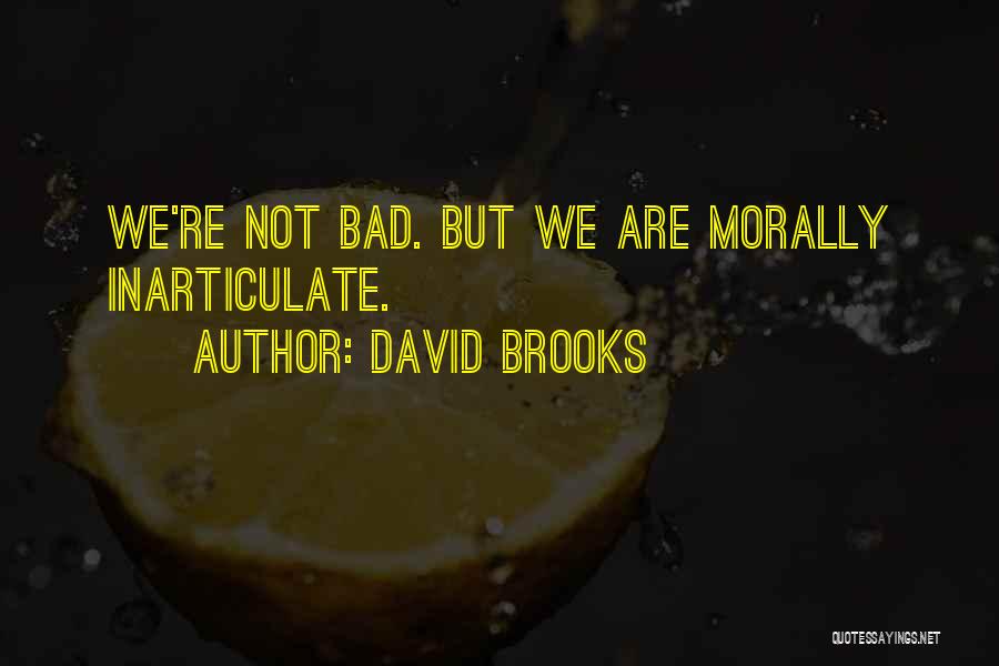 David Brooks Quotes: We're Not Bad. But We Are Morally Inarticulate.