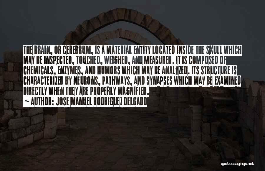 Jose Manuel Rodriguez Delgado Quotes: The Brain, Or Cerebrum, Is A Material Entity Located Inside The Skull Which May Be Inspected, Touched, Weighed, And Measured.