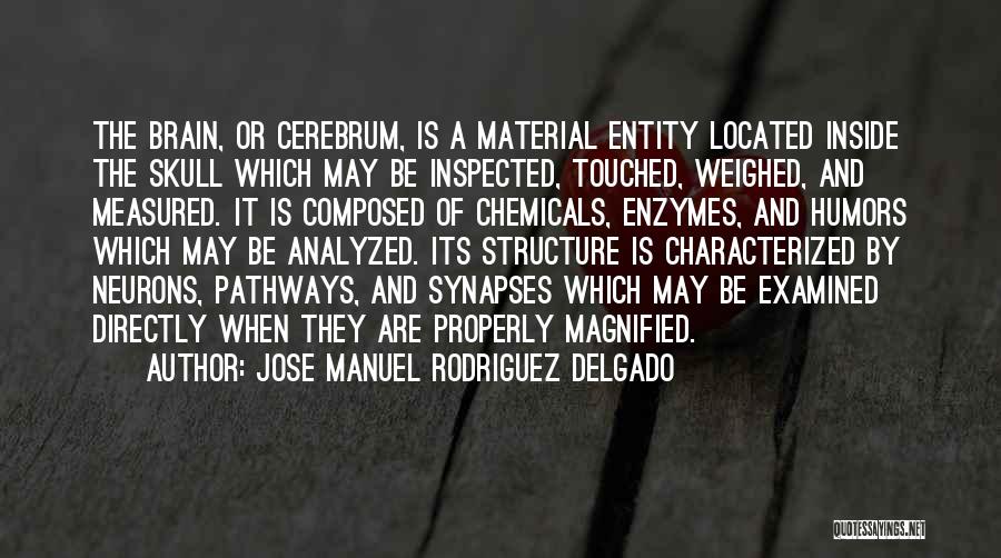 Jose Manuel Rodriguez Delgado Quotes: The Brain, Or Cerebrum, Is A Material Entity Located Inside The Skull Which May Be Inspected, Touched, Weighed, And Measured.