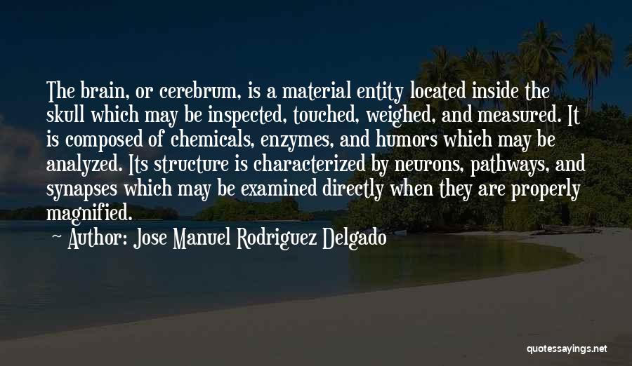 Jose Manuel Rodriguez Delgado Quotes: The Brain, Or Cerebrum, Is A Material Entity Located Inside The Skull Which May Be Inspected, Touched, Weighed, And Measured.