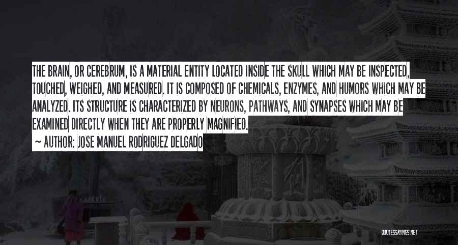 Jose Manuel Rodriguez Delgado Quotes: The Brain, Or Cerebrum, Is A Material Entity Located Inside The Skull Which May Be Inspected, Touched, Weighed, And Measured.