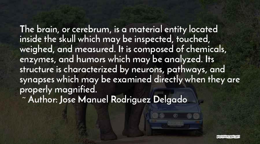 Jose Manuel Rodriguez Delgado Quotes: The Brain, Or Cerebrum, Is A Material Entity Located Inside The Skull Which May Be Inspected, Touched, Weighed, And Measured.