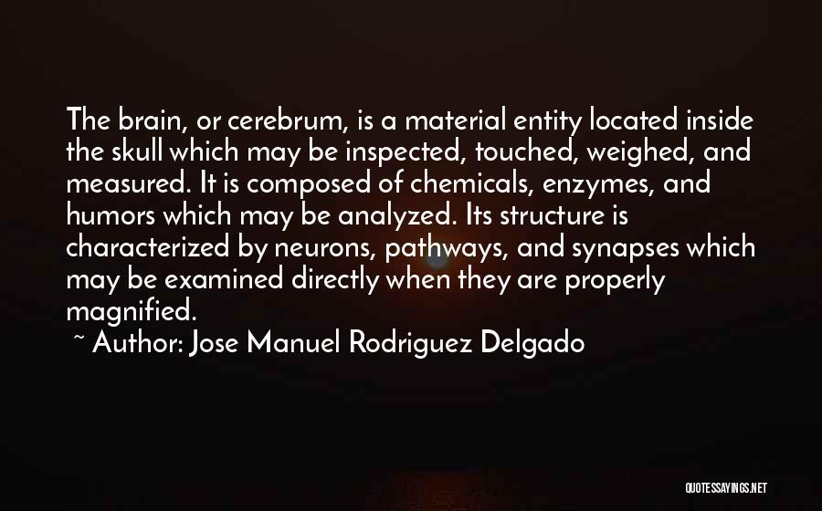 Jose Manuel Rodriguez Delgado Quotes: The Brain, Or Cerebrum, Is A Material Entity Located Inside The Skull Which May Be Inspected, Touched, Weighed, And Measured.
