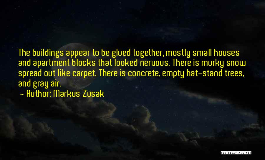 Markus Zusak Quotes: The Buildings Appear To Be Glued Together, Mostly Small Houses And Apartment Blocks That Looked Nervous. There Is Murky Snow