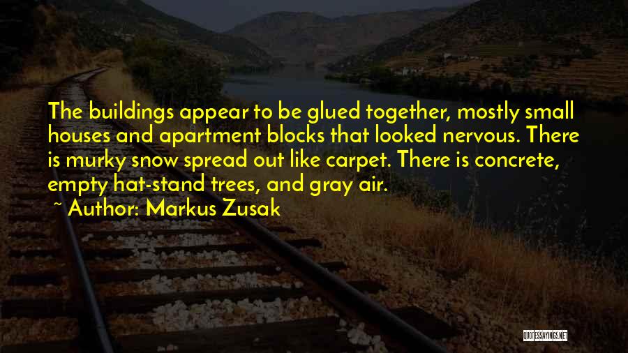 Markus Zusak Quotes: The Buildings Appear To Be Glued Together, Mostly Small Houses And Apartment Blocks That Looked Nervous. There Is Murky Snow