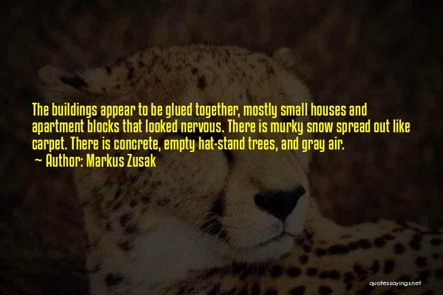 Markus Zusak Quotes: The Buildings Appear To Be Glued Together, Mostly Small Houses And Apartment Blocks That Looked Nervous. There Is Murky Snow