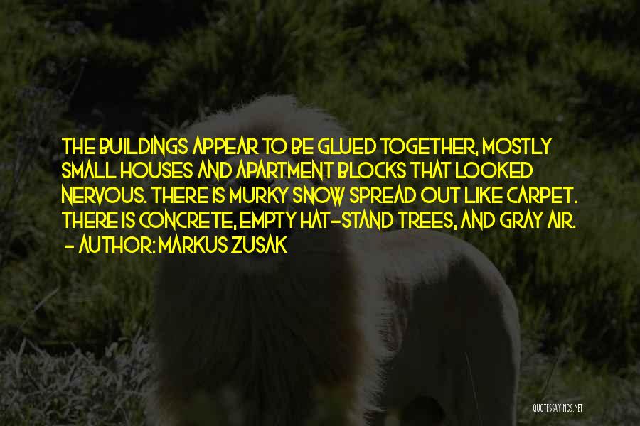 Markus Zusak Quotes: The Buildings Appear To Be Glued Together, Mostly Small Houses And Apartment Blocks That Looked Nervous. There Is Murky Snow