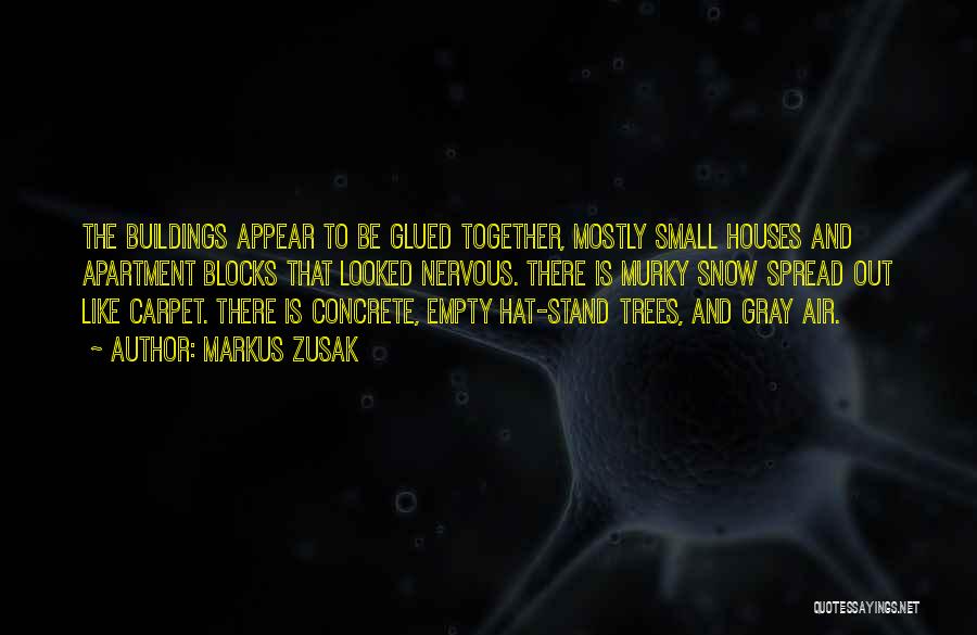 Markus Zusak Quotes: The Buildings Appear To Be Glued Together, Mostly Small Houses And Apartment Blocks That Looked Nervous. There Is Murky Snow