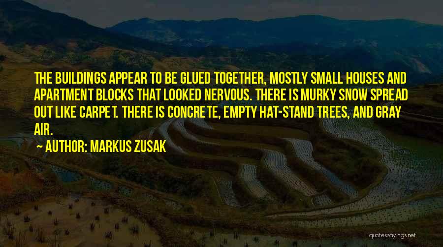 Markus Zusak Quotes: The Buildings Appear To Be Glued Together, Mostly Small Houses And Apartment Blocks That Looked Nervous. There Is Murky Snow