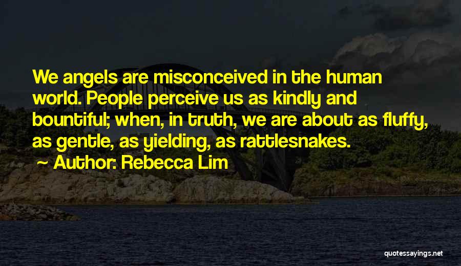 Rebecca Lim Quotes: We Angels Are Misconceived In The Human World. People Perceive Us As Kindly And Bountiful; When, In Truth, We Are
