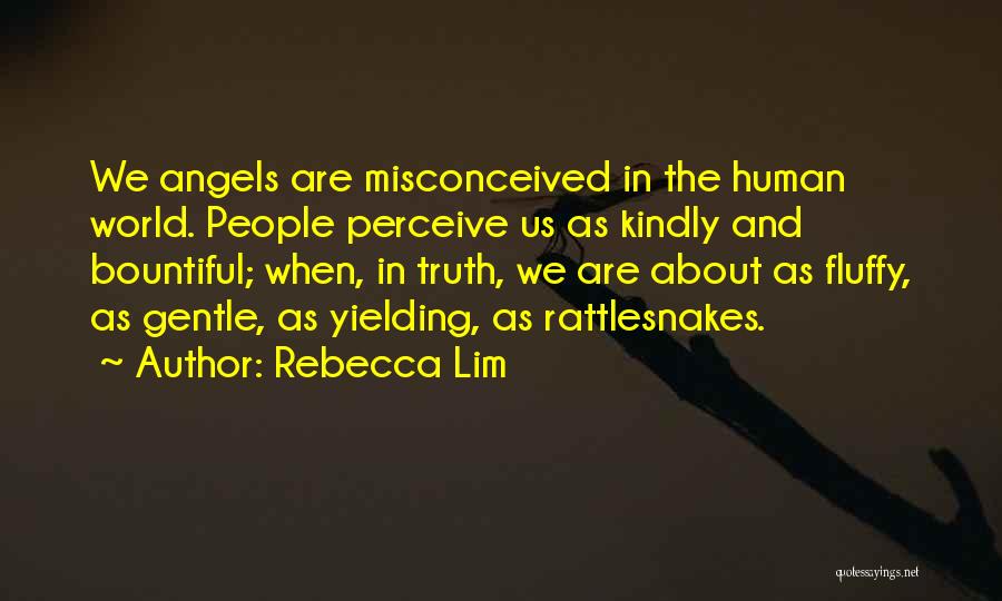 Rebecca Lim Quotes: We Angels Are Misconceived In The Human World. People Perceive Us As Kindly And Bountiful; When, In Truth, We Are