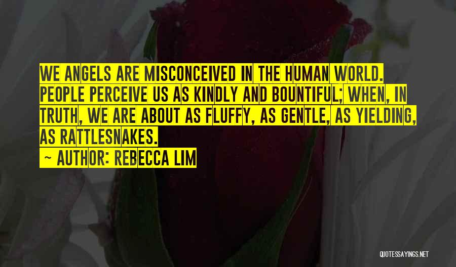 Rebecca Lim Quotes: We Angels Are Misconceived In The Human World. People Perceive Us As Kindly And Bountiful; When, In Truth, We Are