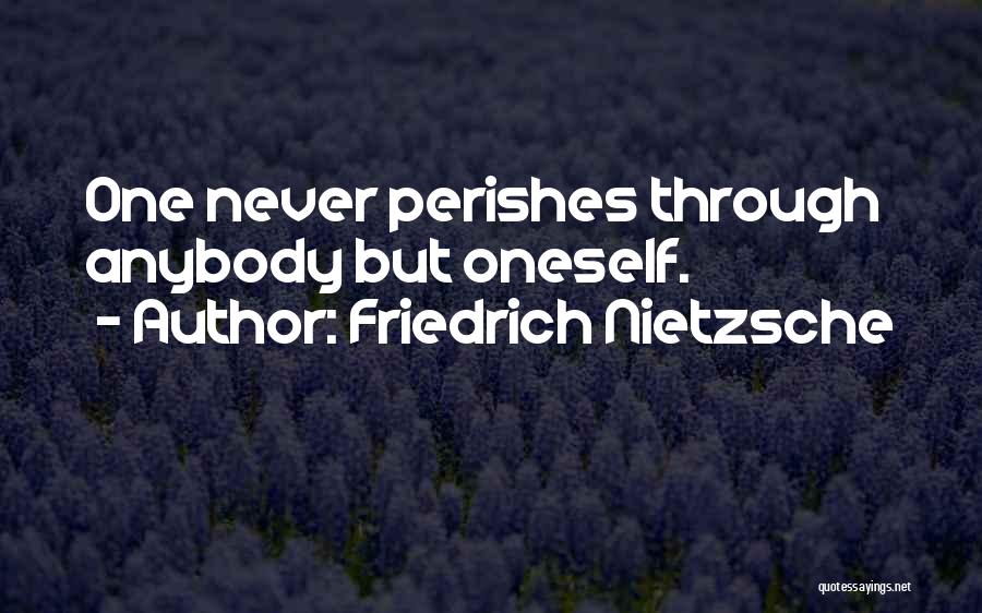 Friedrich Nietzsche Quotes: One Never Perishes Through Anybody But Oneself.