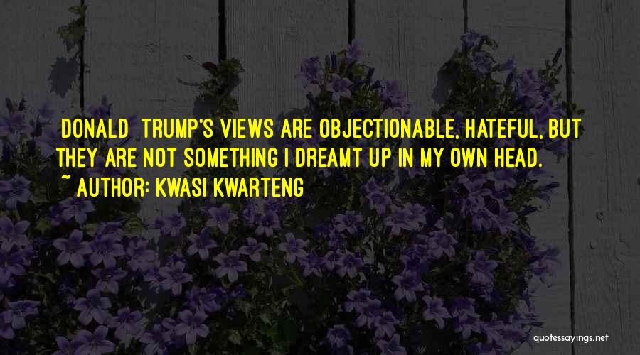 Kwasi Kwarteng Quotes: [donald] Trump's Views Are Objectionable, Hateful, But They Are Not Something I Dreamt Up In My Own Head.