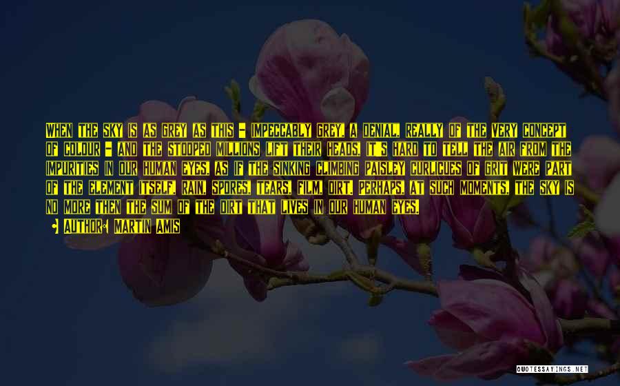 Martin Amis Quotes: When The Sky Is As Grey As This - Impeccably Grey, A Denial, Really Of The Very Concept Of Colour