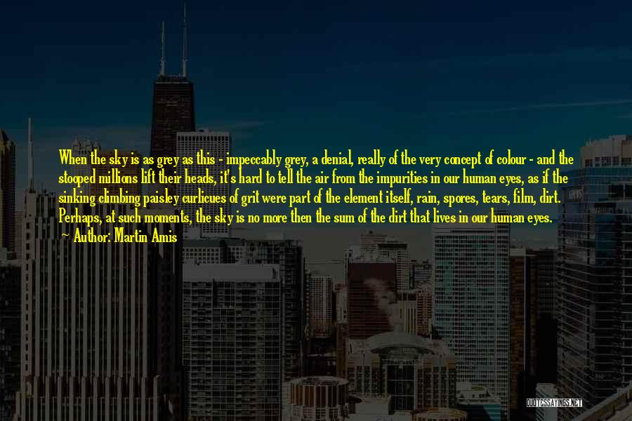 Martin Amis Quotes: When The Sky Is As Grey As This - Impeccably Grey, A Denial, Really Of The Very Concept Of Colour