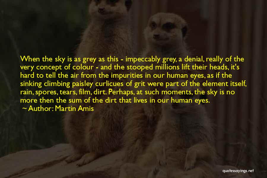 Martin Amis Quotes: When The Sky Is As Grey As This - Impeccably Grey, A Denial, Really Of The Very Concept Of Colour