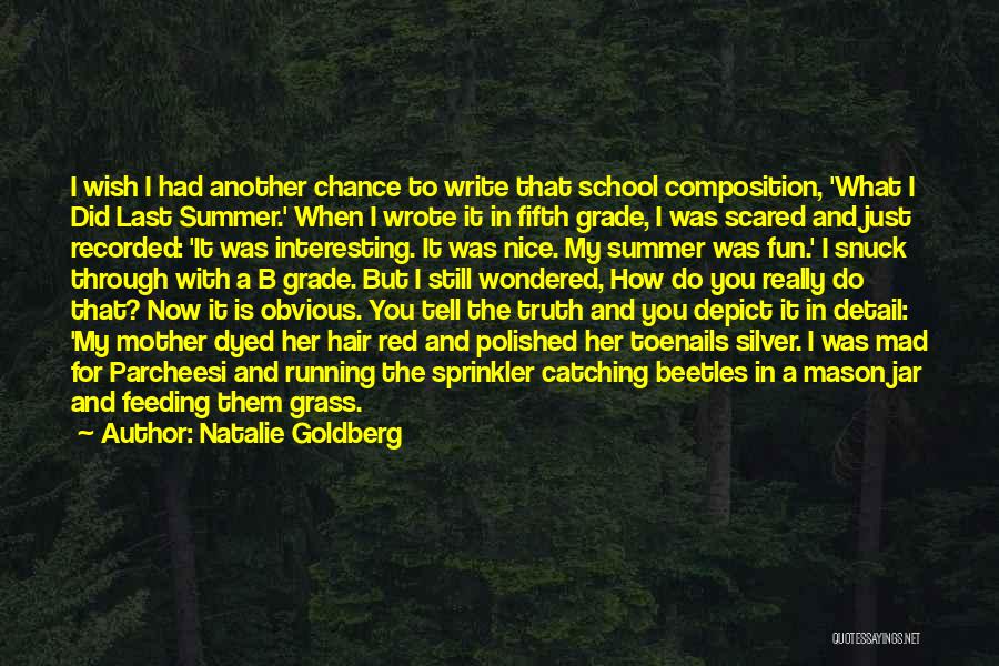 Natalie Goldberg Quotes: I Wish I Had Another Chance To Write That School Composition, 'what I Did Last Summer.' When I Wrote It