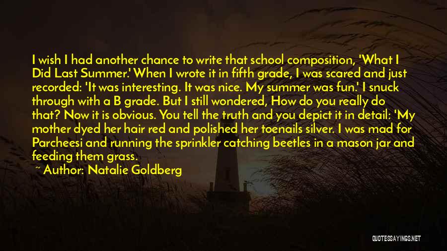 Natalie Goldberg Quotes: I Wish I Had Another Chance To Write That School Composition, 'what I Did Last Summer.' When I Wrote It