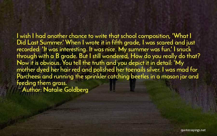 Natalie Goldberg Quotes: I Wish I Had Another Chance To Write That School Composition, 'what I Did Last Summer.' When I Wrote It